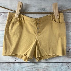 24W gold Sonoma Freyed edge shorts.  Button fly. 5 pocket style. New with tags..